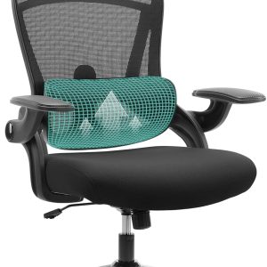 Ergonomic Mesh Office Chair, High Back Desk Chair with 2D Headrest, Up&Down Lumbar Support, Swivel Computer Task Chair with Adjustable Flip-up Armrests, Black